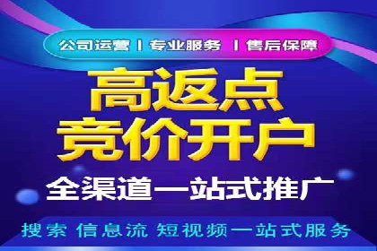 不同平台下的关键词竞价排名策略比较与案例分析